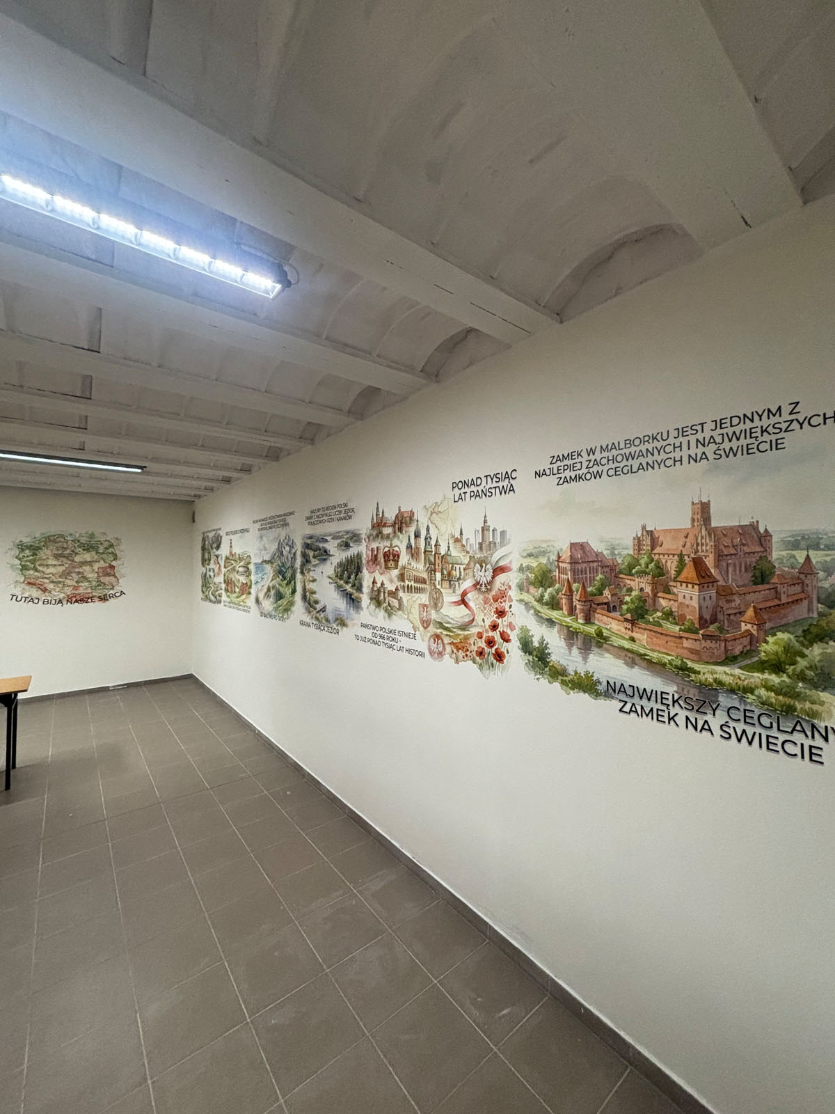 Druk ścienny - edukacyjne grafiki w szkole, Rybnik