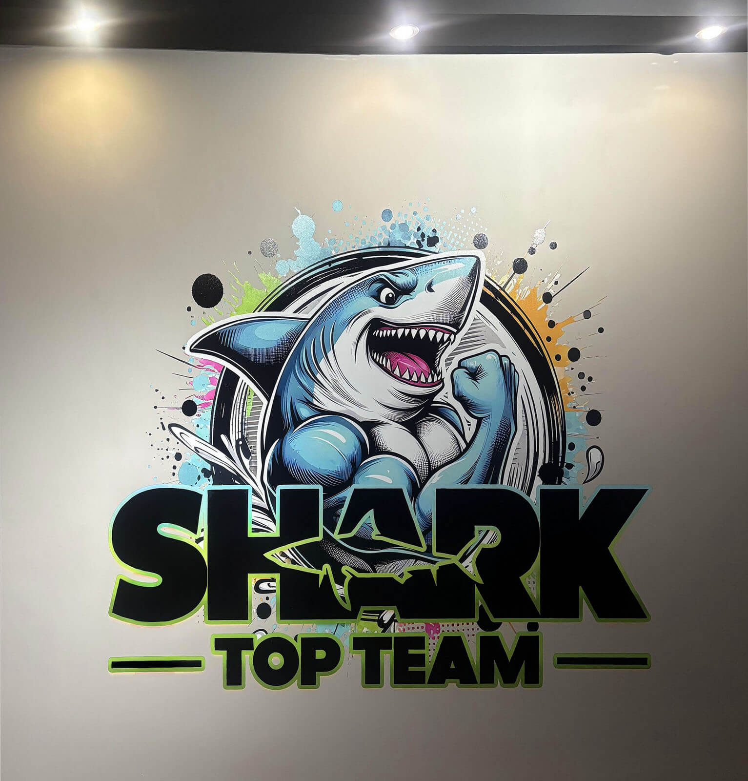 Druk ścienny logo Katowice, Śląsk