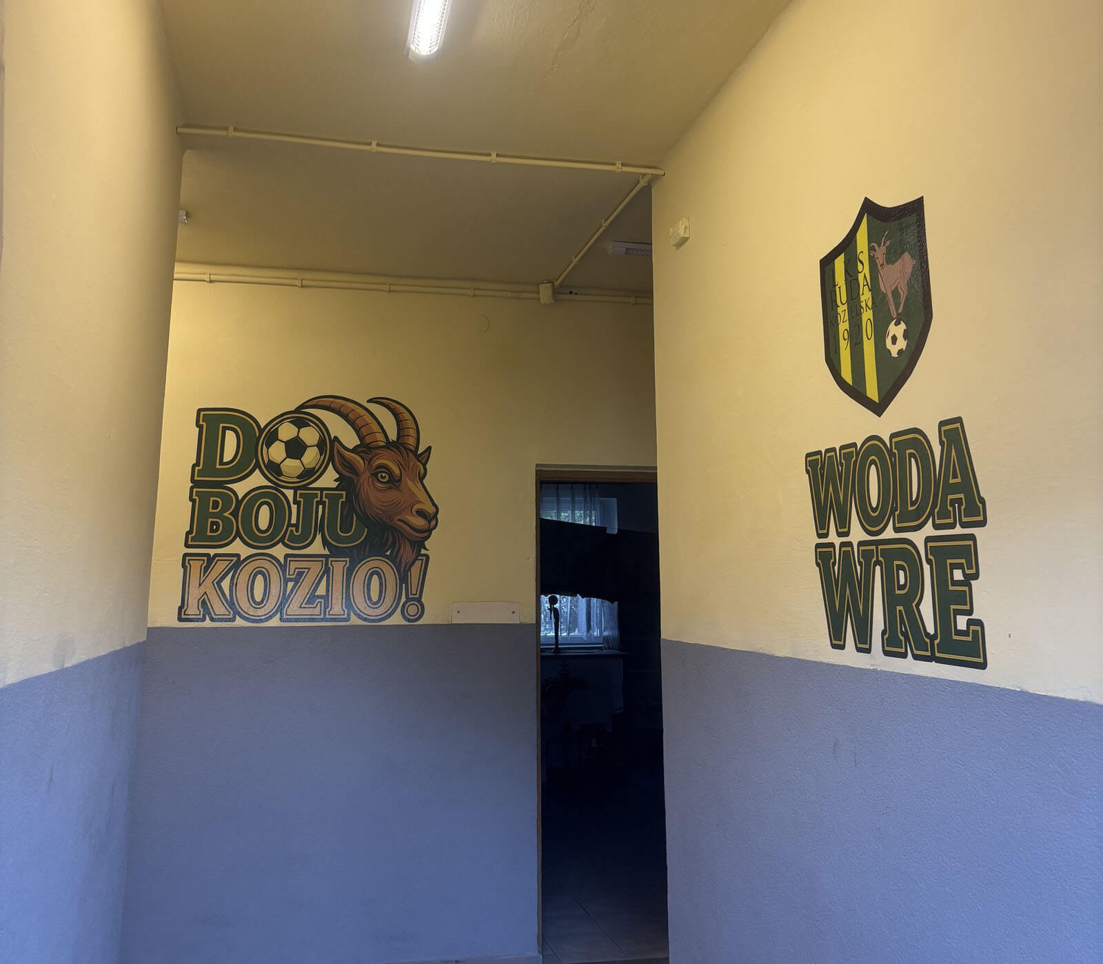 Murale, druk UV na ścianie, Racibórz