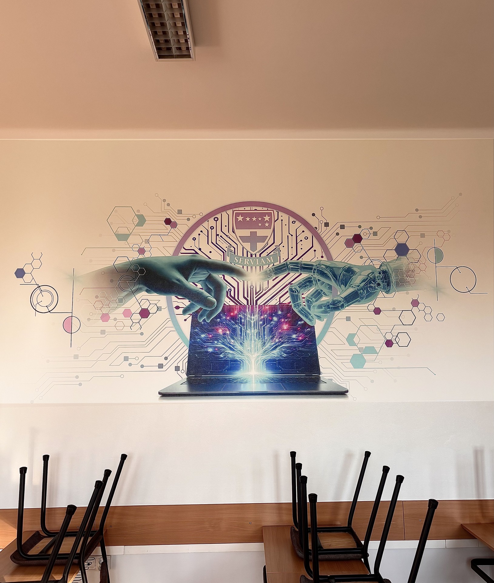 Druk ścienny  szkoła w Rybniku