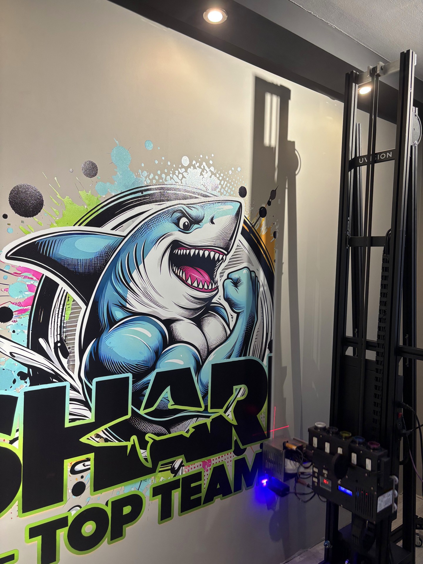 Druk ścienny w pokoju dziecka - Bytom